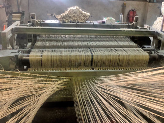 劍麻拋光布織機_劍麻纖維拋光布織機_拋光布劍麻織機_劍麻拋光布設備_劍麻拋光布編織機_自動化劍麻織機_劍麻拋光布生產(chǎn)線